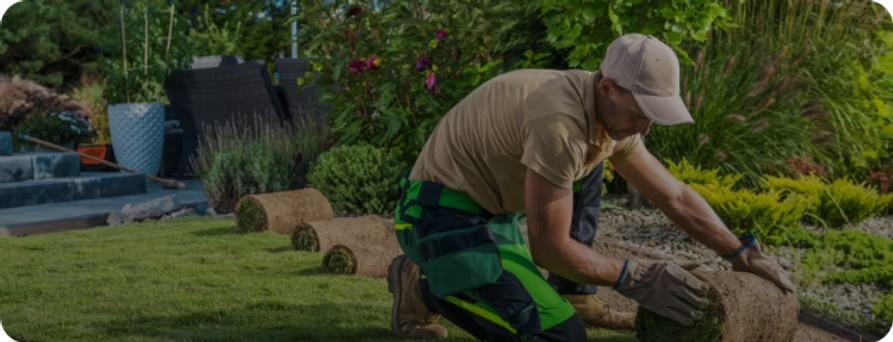 Landscaping & Hardscaping